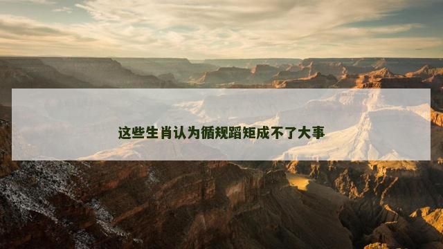 这些生肖认为循规蹈矩成不了大事