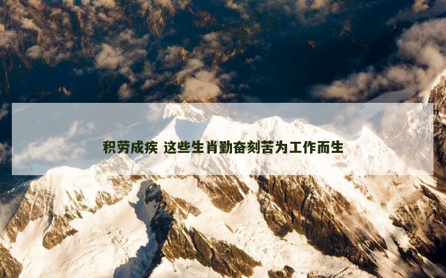 积劳成疾 这些生肖勤奋刻苦为工作而生