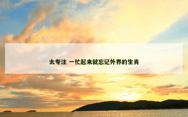 太专注 一忙起来就忘记外界的生肖