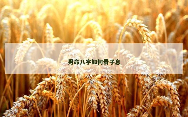 男命八字如何看子息