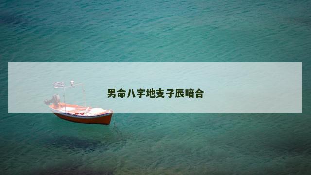 男命八字地支子辰暗合