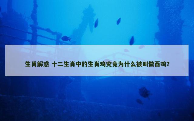 生肖解惑 十二生肖中的生肖鸡究竟为什么被叫做酉鸡？