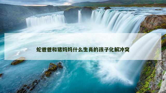 蛇爸爸和猪妈妈什么生肖的孩子化解冲突