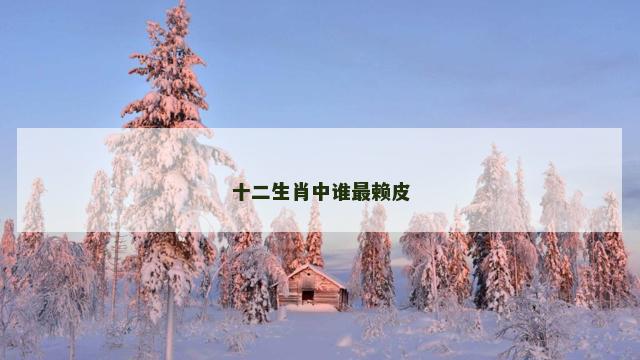 十二生肖中谁最赖皮