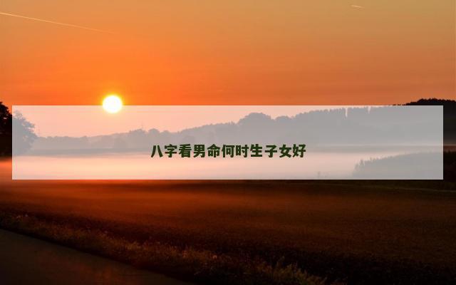八字看男命何时生子女好