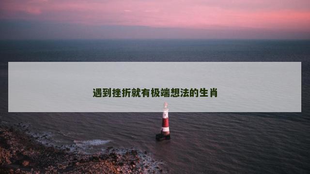 遇到挫折就有极端想法的生肖