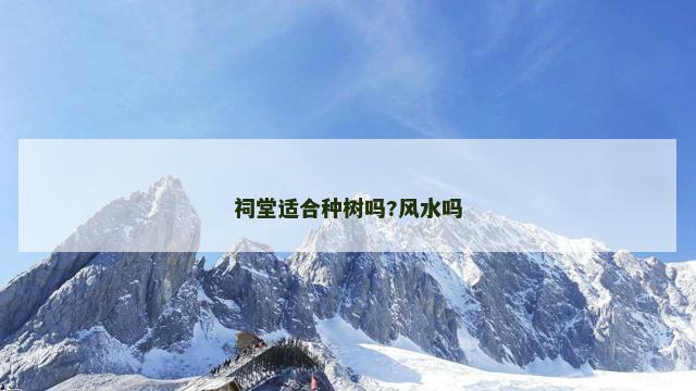 祠堂适合种树吗?风水吗