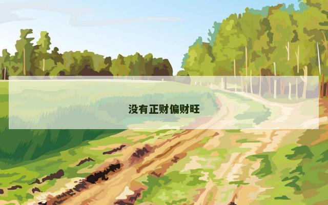 没有正财偏财旺