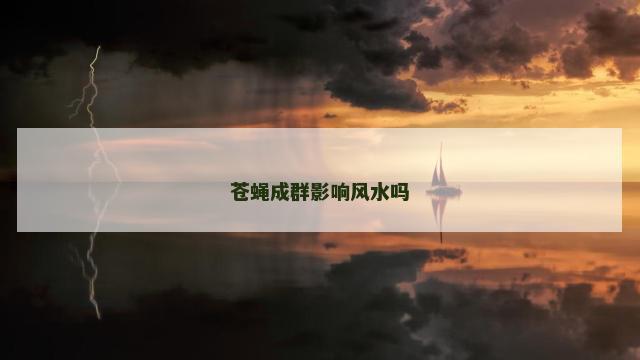苍蝇成群影响风水吗