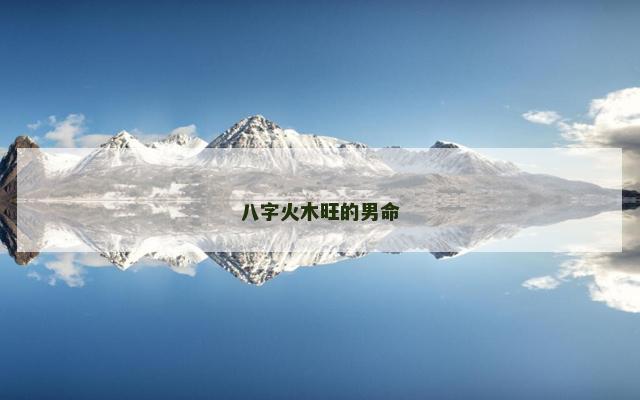 八字火木旺的男命