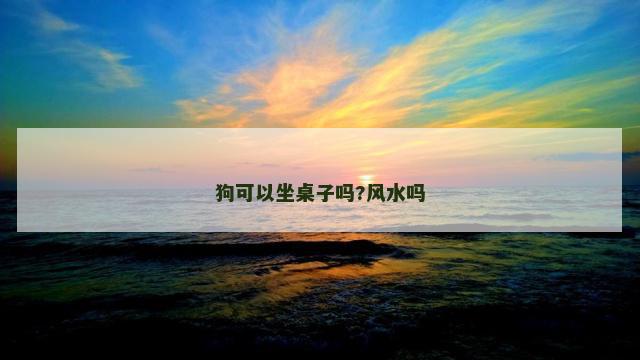 狗可以坐桌子吗?风水吗