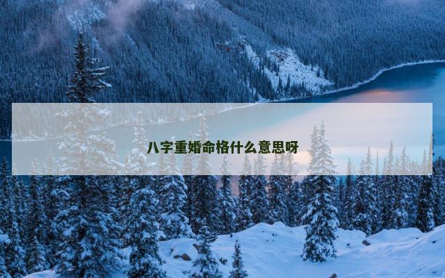 八字重婚命格什么意思呀