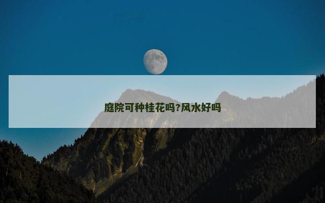 庭院可种桂花吗?风水好吗