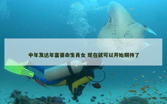 中年发达年富婆命生肖女 现在就可以开始期待了