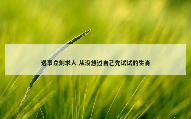 遇事立刻求人 从没想过自己先试试的生肖