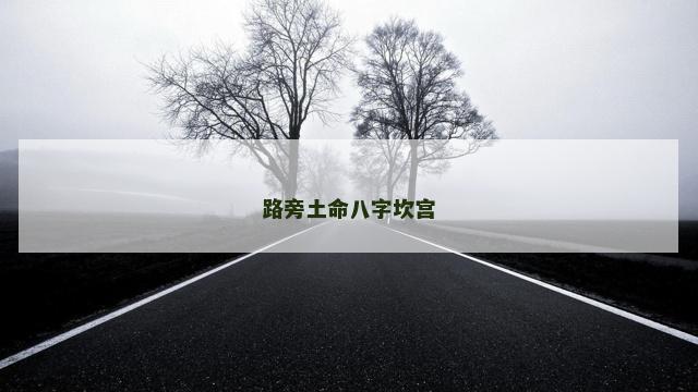 路旁土命八字坎宫
