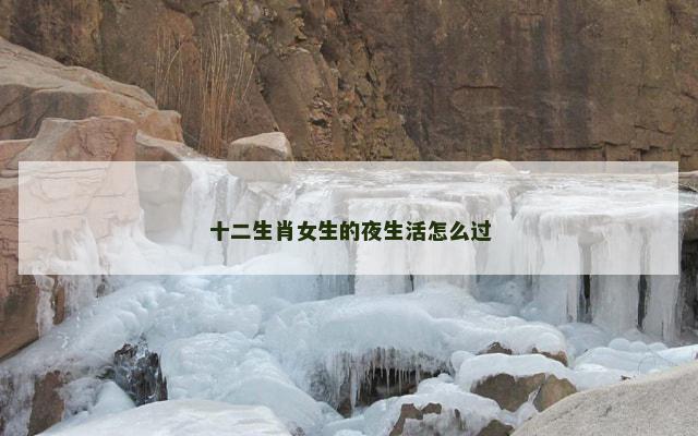 十二生肖女生的夜生活怎么过
