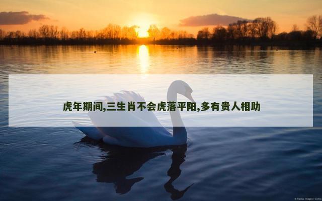 虎年期间,三生肖不会虎落平阳,多有贵人相助