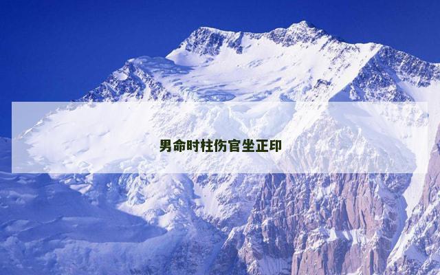 男命时柱伤官坐正印