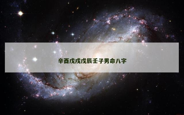 辛酉戊戌戊辰壬子男命八字