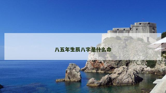 八五年生辰八字是什么命