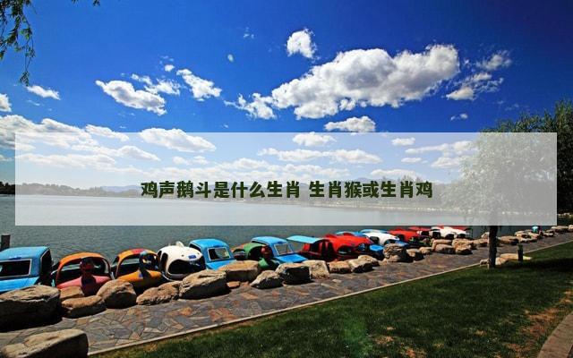 鸡声鹅斗是什么生肖 生肖猴或生肖鸡