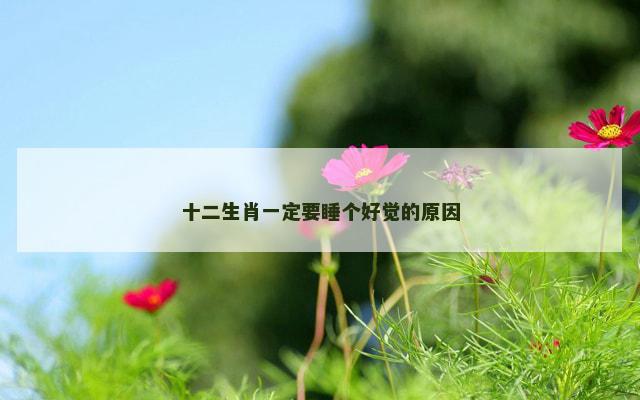 十二生肖一定要睡个好觉的原因