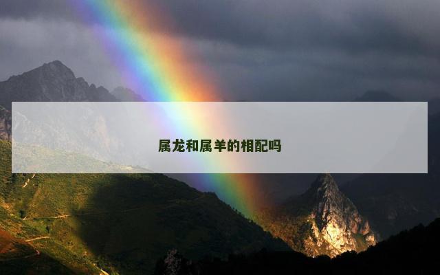 属龙和属羊的相配吗