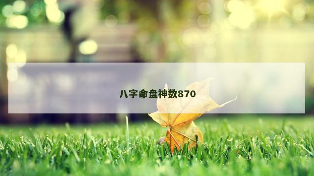 八字命盘神数870