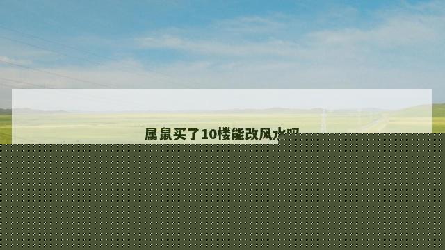 属鼠买了10楼能改风水吗