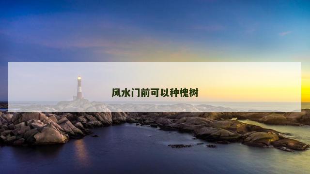 风水门前可以种槐树