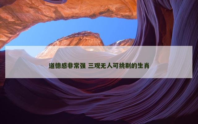 道德感非常强 三观无人可挑剔的生肖