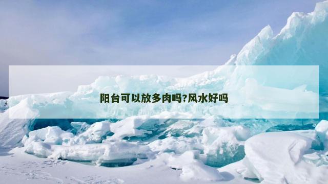 阳台可以放多肉吗?风水好吗