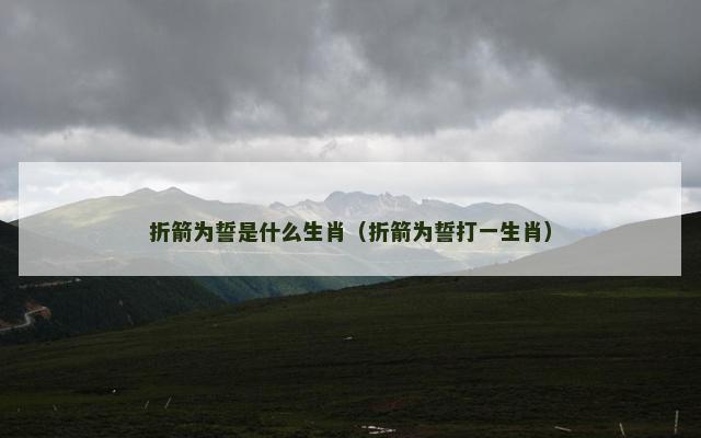 折箭为誓是什么生肖（折箭为誓打一生肖）