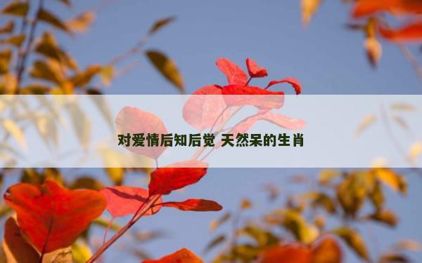 对爱情后知后觉 天然呆的生肖
