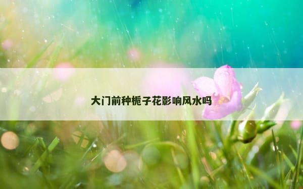 大门前种栀子花影响风水吗