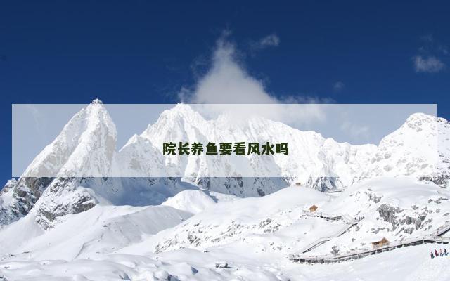 院长养鱼要看风水吗
