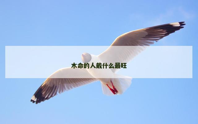 木命的人戴什么最旺
