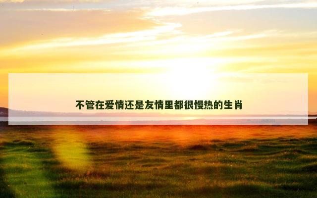 不管在爱情还是友情里都很慢热的生肖