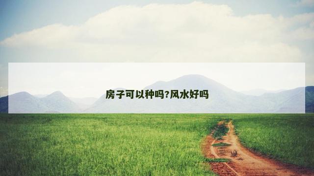 房子可以种吗?风水好吗