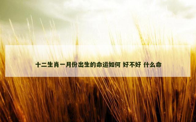十二生肖一月份出生的命运如何 好不好 什么命