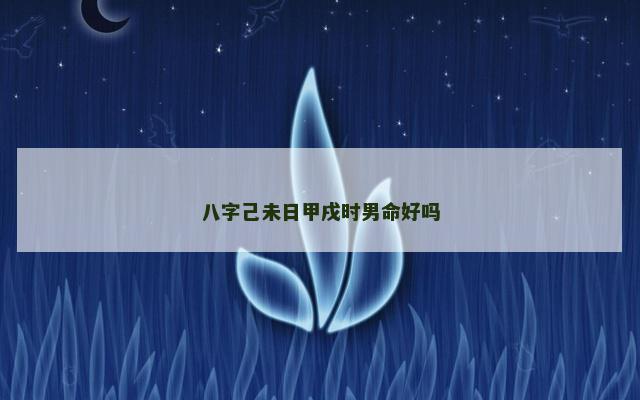 八字己未日甲戌时男命好吗