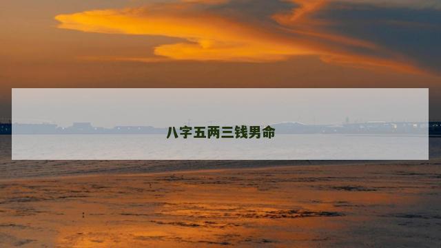 八字五两三钱男命