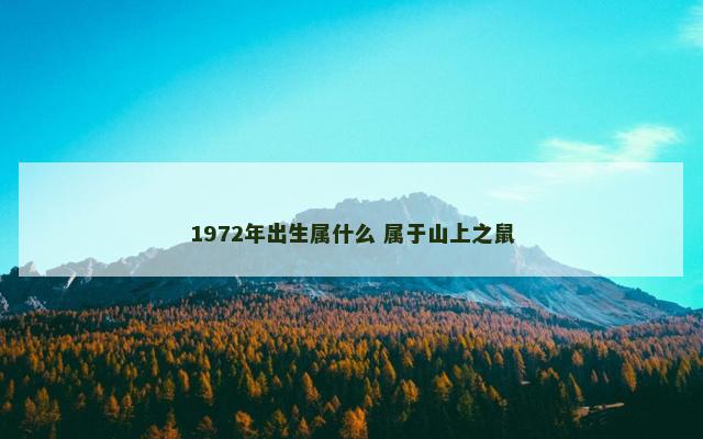 1972年出生属什么 属于山上之鼠