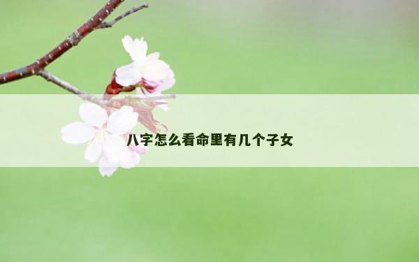 八字怎么看命里有几个子女