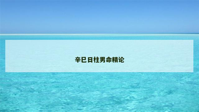 辛巳日柱男命精论 辛巳日柱男命精论