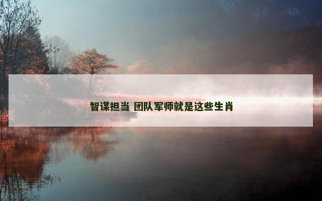 智谋担当 团队军师就是这些生肖