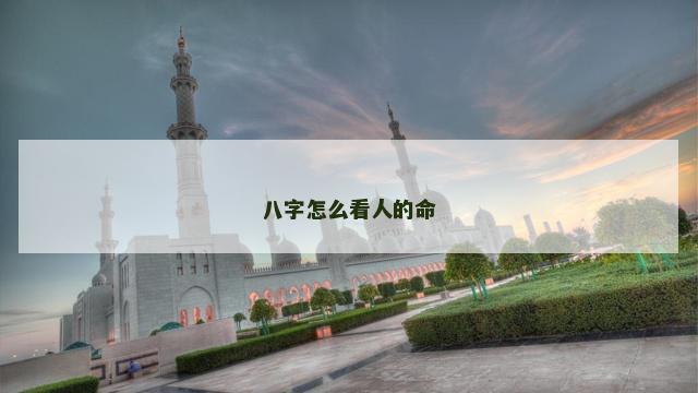 八字怎么看人的命