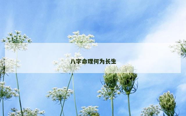 八字命理何为长生