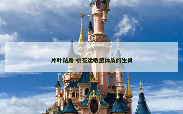 片叶粘身 桃花运敏感体质的生肖